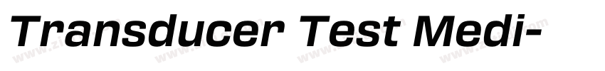 Transducer Test Medi字体转换